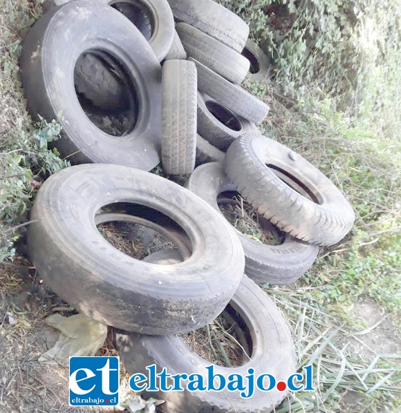 Una gran cantidad de neumáticos fueron decomisados por Carabineros de Llay Llay.