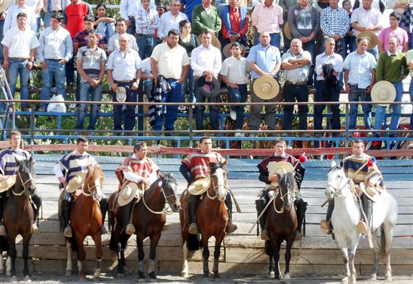 rodeo2