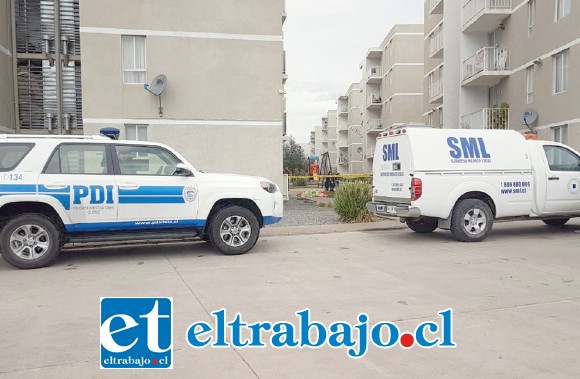 Al sitio del suceso concurrió personal de la Brigada de Homicidios de la PDI de Los Andes y personal del Servicio Médico Legal de San Felipe.