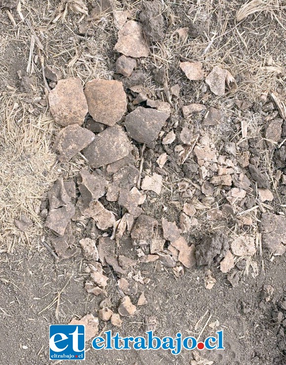 Personal de la Brigada de Homicidios de la Los Andes concurrió al ex Fundo La Monja de la comuna de Rinconada.