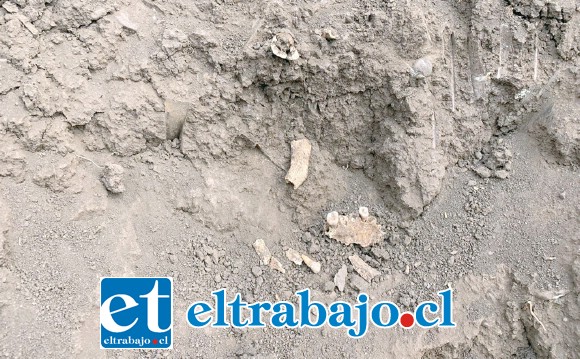 Los restos humanos serán analizados por arqueólogos, pero preliminarmente se trataría de restos de indígenas de unos 500 años de antigüedad.