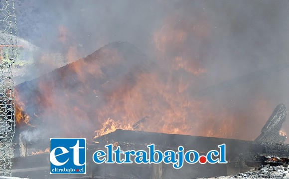 TODO DESTRUIDO.- La poderosa fuerza del calor en este infernal escenario hizo que las latas cedieran para que las lenguas de fuego hicieran su infernal labor.