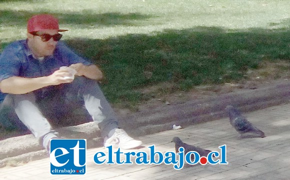 Acá vemos al vecino comiendo, también en el suelo.