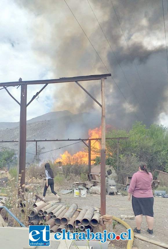 Todas las compañías de Bomberos de ambas provincias trabajaron en el combate del fuego.