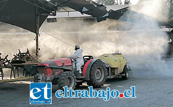 Esta limpieza profunda se seguirá realizando todos los meses en ese importante punto de comercio agrícola.