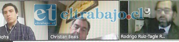 Los participantes en la audiencia de formalización realizada ayer en la mañana vía online.