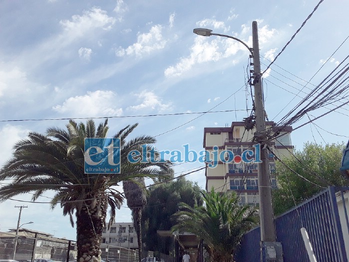 Este es el foco que la empresa encargada de reparar, hasta ayer no lo había hecho, pese a haber sido avisada supuestamente el martes pasado.