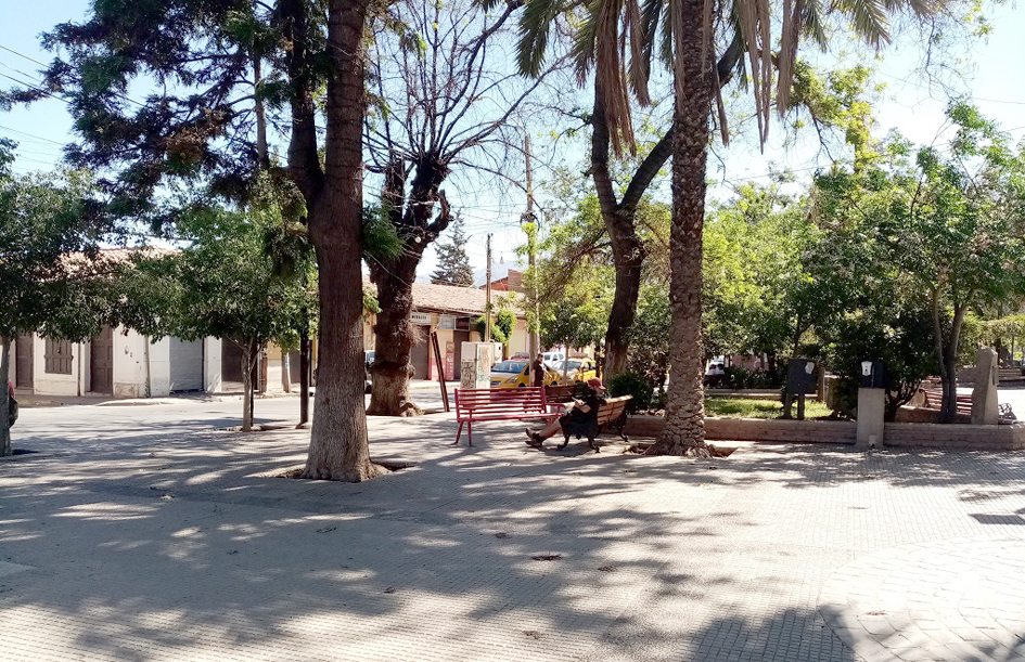 En este lugar se produjo la agresión. (gentileza @putaendoinforma.com)