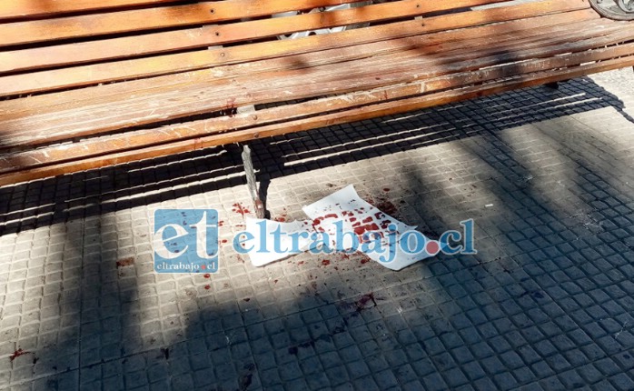 Rastros de sangre quedaron en el lugar de la agresión. (gentileza @putaendoinforma.com)