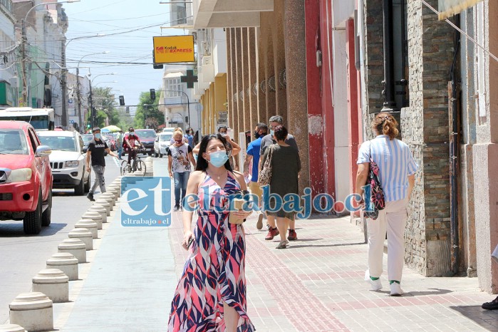 En las calles Prat y Salinas se iniciará el proceso de reforestación del damero central de San Felipe.