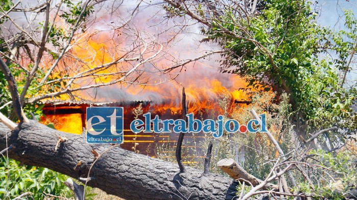 INFIERNO VORAZ.- Esta es una bodega cercana pero cruzando la calle, y sin embargo las llamas llegaron a esta bodega y acabaron con ella.