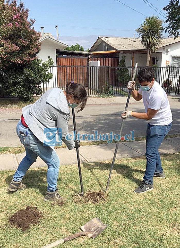 VERDE JUVENTUD.- Aquí los vemos reforestando sectores urbanos de nuestra comuna, también lo hacen en sectores rurales.