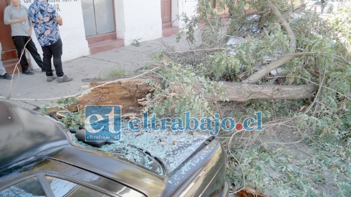 DAÑOS MATERIALES.- Así quedó este V16, destrozado completamente en su parte trasera, especialmente la luneta.