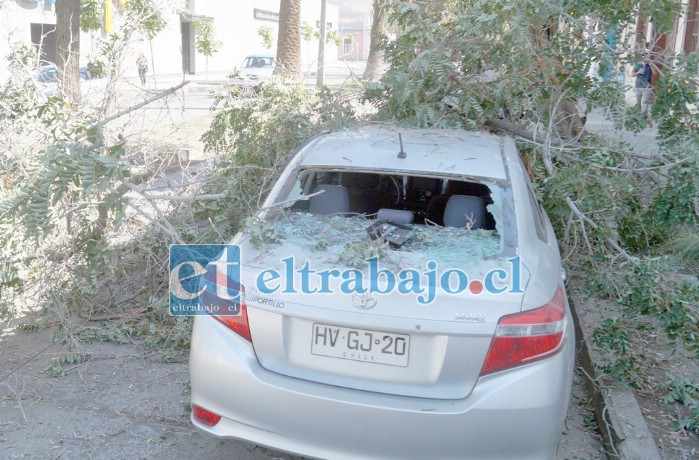 ¿QUIÉN SE HACE RESPONSABLE?- Este otro vehículo aunque no recibió el impacto de manera directa, los daños fueron similares al V16.