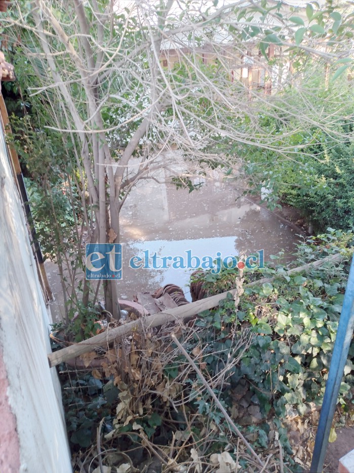 Así lucía el interior del Club de Tenis, lleno de agua producto del incidente.