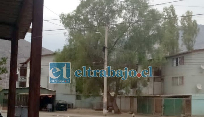 Desde otro ángulo se aprecia al individuo a gran altura en la parte superior del poste, arriesgando incluso su vida.