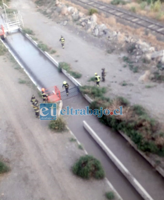 Personal de Bomberos de San Felipe trabajando en el lugar, buscando a la persona que finalmente fue encontrada fallecida. (Foto redes sociales)