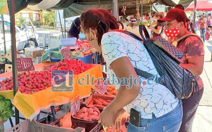 Un plazo de 60 días tienen los comerciantes para corregir o regularizar situaciones pendientes respecto a la propiedad de las patentes, sea por muerte del titular, transferencias irregulares o de hecho.
