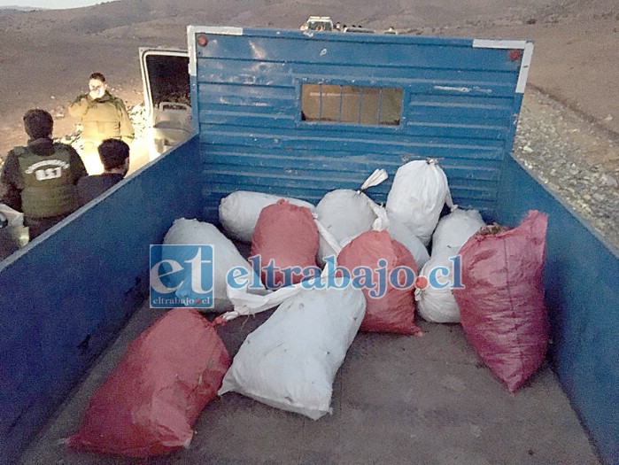 Arriba de este camión se encontraba la marihuana que pretendían transportar hasta el valle de Aconcagua.